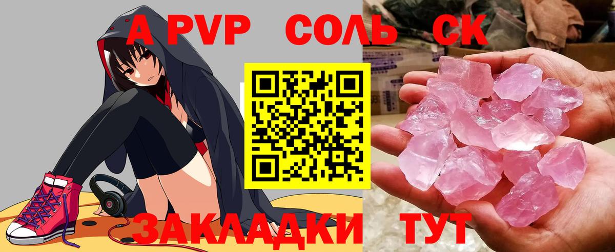 A PVP СК КРИС Пенза