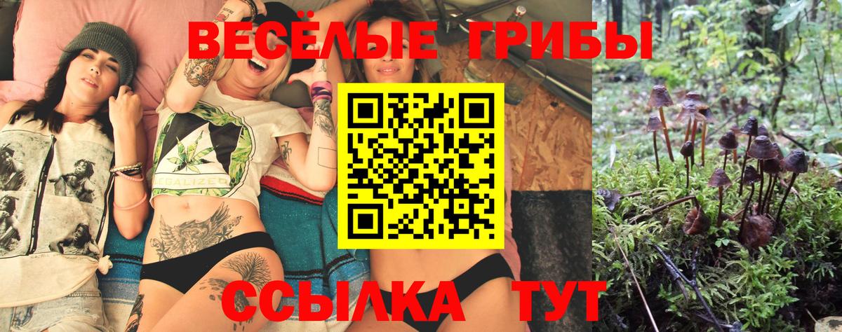 Псилоцибиновые грибы Psilocybe  Вход с VPN  Пенза 