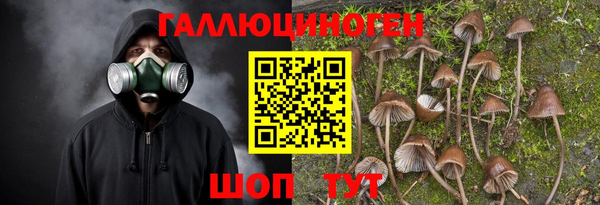 Cocaine  Гашиш  Пенза  Героин  Вход с VPN  Меф МЯУ МЯУ кристаллы  Конопля  Как найти наркотики? 